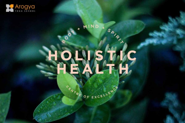 Holistic health